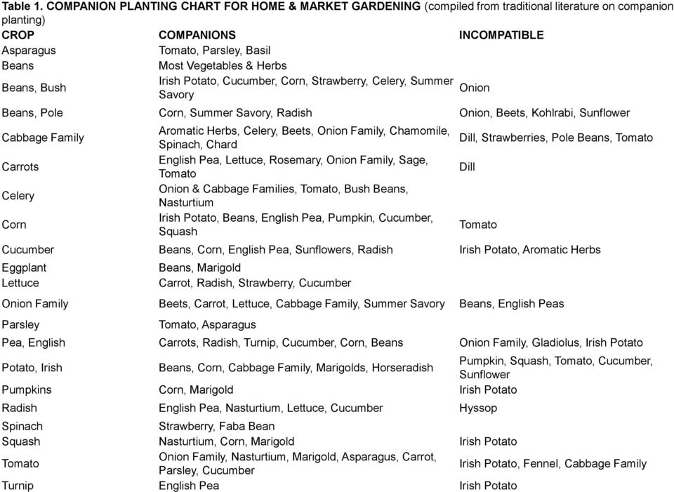 Herbs Beans, Bush Irish Potato, Cucumber, Corn, Strawberry, Celery, Summer Onion Savory Beans, Pole Corn, Summer Savory, Radish Onion, Beets, Kohlrabi, Sunflower Cabbage Family Carrots Celery Corn