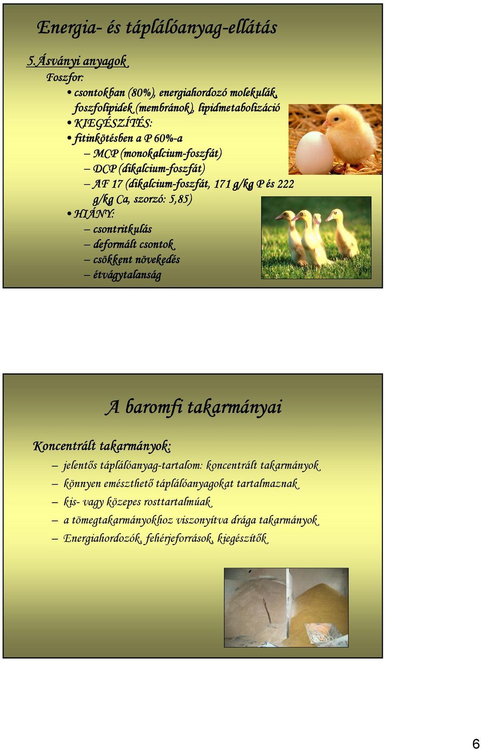 monokalcium-foszfát foszfát) DCP dikalcium dikalcium-foszfát foszfát) AF 17 dikalcium dikalcium-foszfát foszfát,, 171 g/kg P és 222 g/kg Ca,, szorzó: 5,85) HIÁNY: csontritkulás
