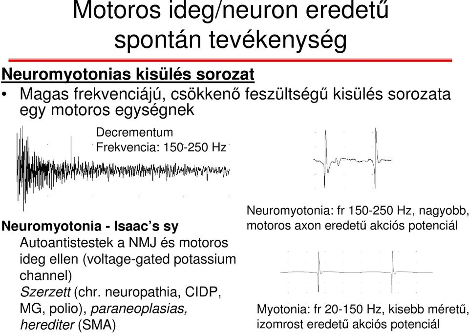 ellen (voltage-gated potassium channel) Szerzett (chr.