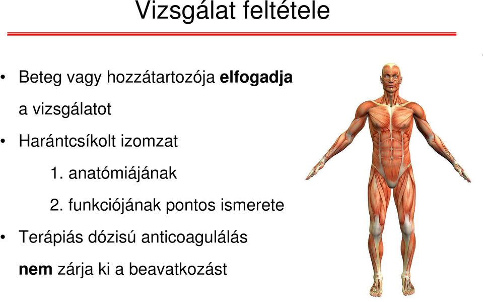 anatómiájának 2.