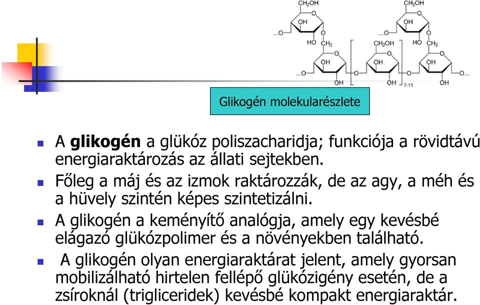 A glikogén a keményítő analógja, amely egy kevésbé elágazó glükózpolimer és a növényekben található.