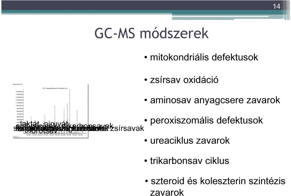 peroxiszomális defektusok 400000 szukcinilaceton, acil-glicinek, nagyon fumársav, koleszterin dikarbonsavak 300000 orotsav hosszú ketoglutársav