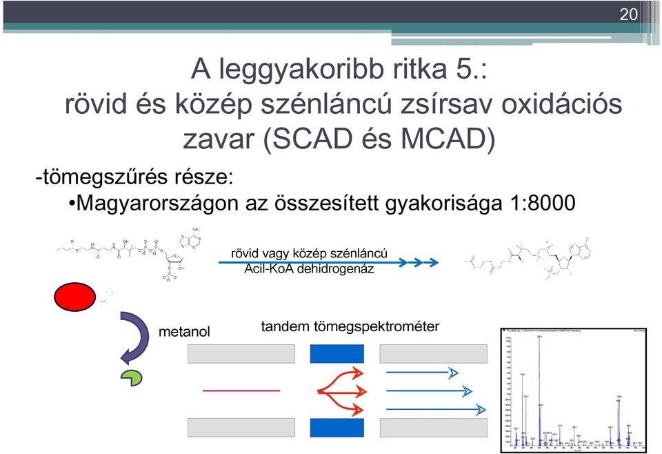 tandem tömegspektrométer +Prec (85.00): Exp 1, 0.139 to 0.416 min fromsample 90 (Sample279) of DataSET4.wiff (Turbo Spray) Max. 2.1e4 cps. +Prec (85.00): Exp 1, 0.139 to 0.416 min fromsample 90 (Sample279) of DataSET4.wiff (Turbo Spray) Max. 2.1e4 cps. 260.