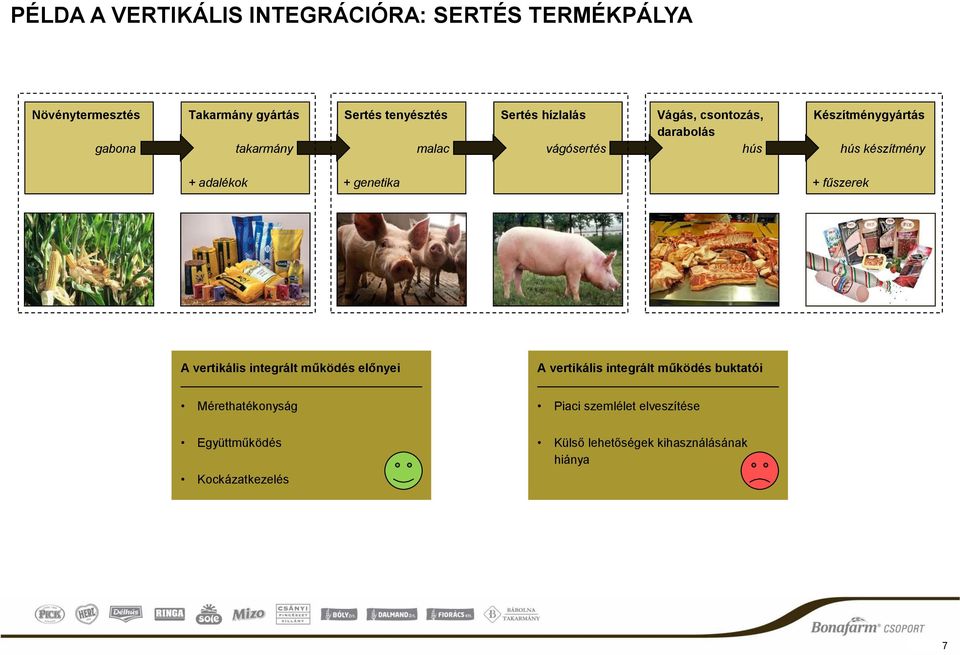 adalékok + genetika + fűszerek A vertikális integrált működés előnyei A vertikális integrált működés buktatói