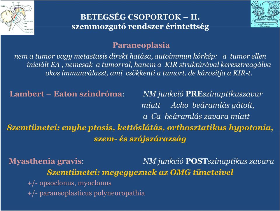 a KIR struktúrával keresztreagálva kz immunválaszt, ami csökkenti a tumrt, de kársítja a KIR-t.