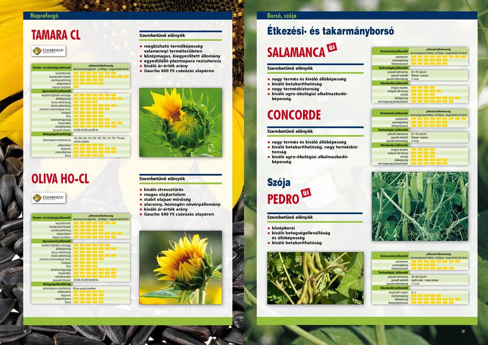 olajsav tartalom kezdeti fejlődés erőssége késői vethetőség extenzív technológiai tűrés virágzás érés tányérállás érésdinamika plazmopara rezisztencia 100-as rasszal szklerotínia diaporte makrofomina