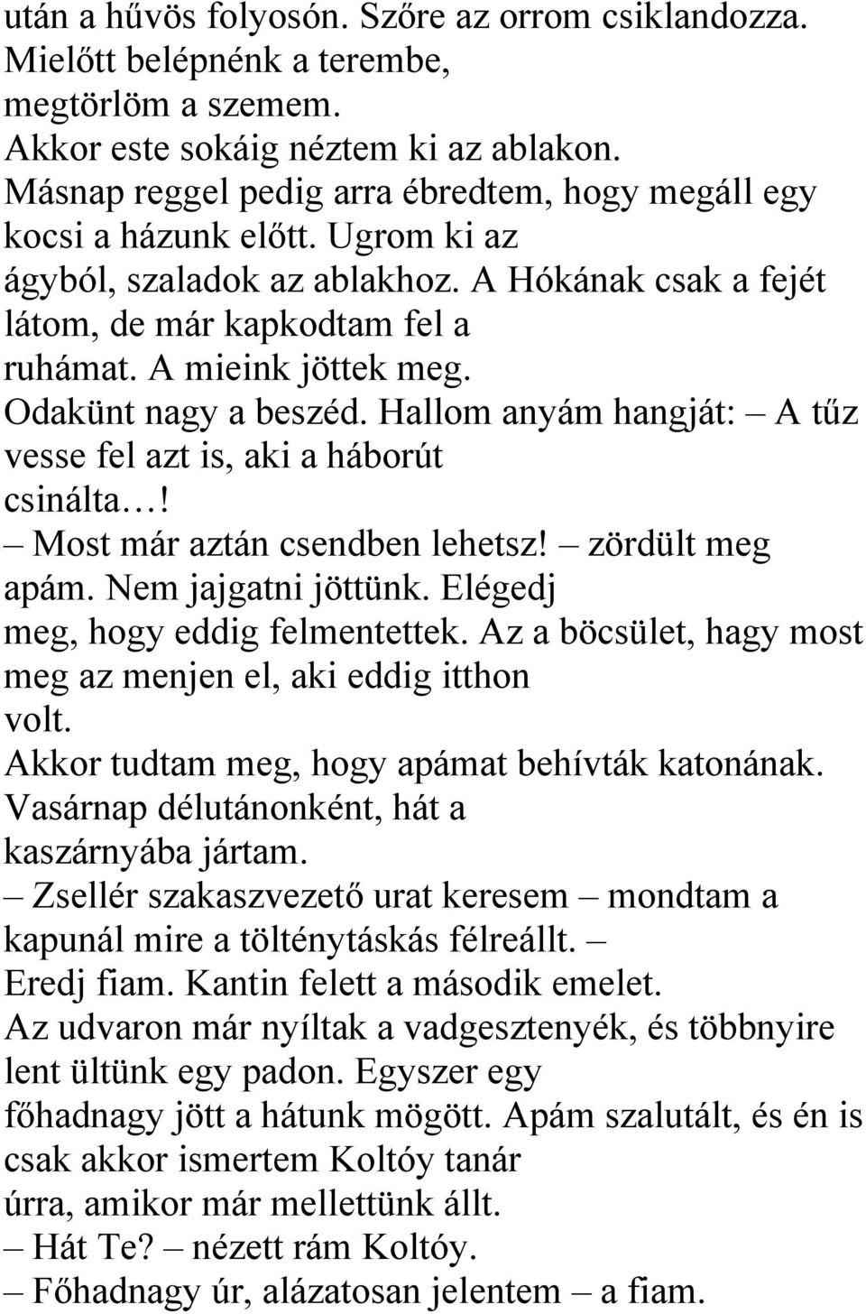 Odakünt nagy a beszéd. Hallom anyám hangját: A tűz vesse fel azt is, aki a háborút csinálta! Most már aztán csendben lehetsz! zördült meg apám. Nem jajgatni jöttünk.