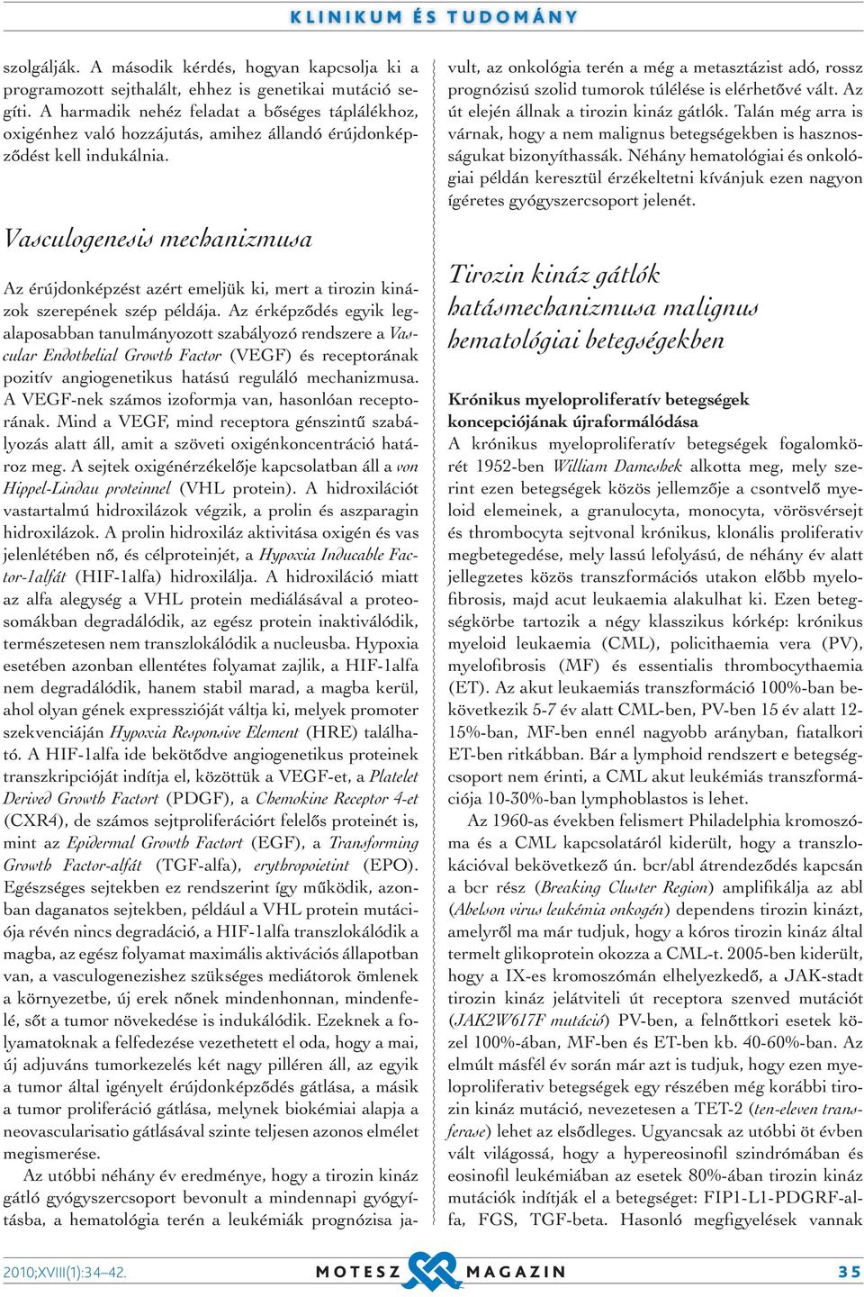 Vasculogenesis mechanizmusa Az érújdonképzést azért emeljük ki, mert a tirozin kinázok szerepének szép példája.