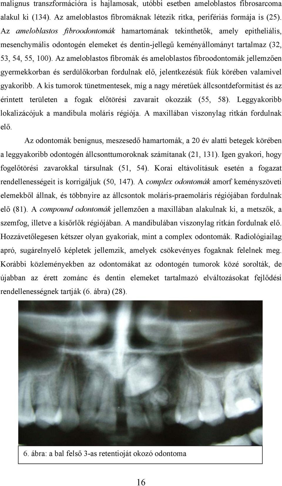 Az ameloblastos fibromák és ameloblastos fibroodontomák jellemzően gyermekkorban és serdülőkorban fordulnak elő, jelentkezésük fiúk körében valamivel gyakoribb.