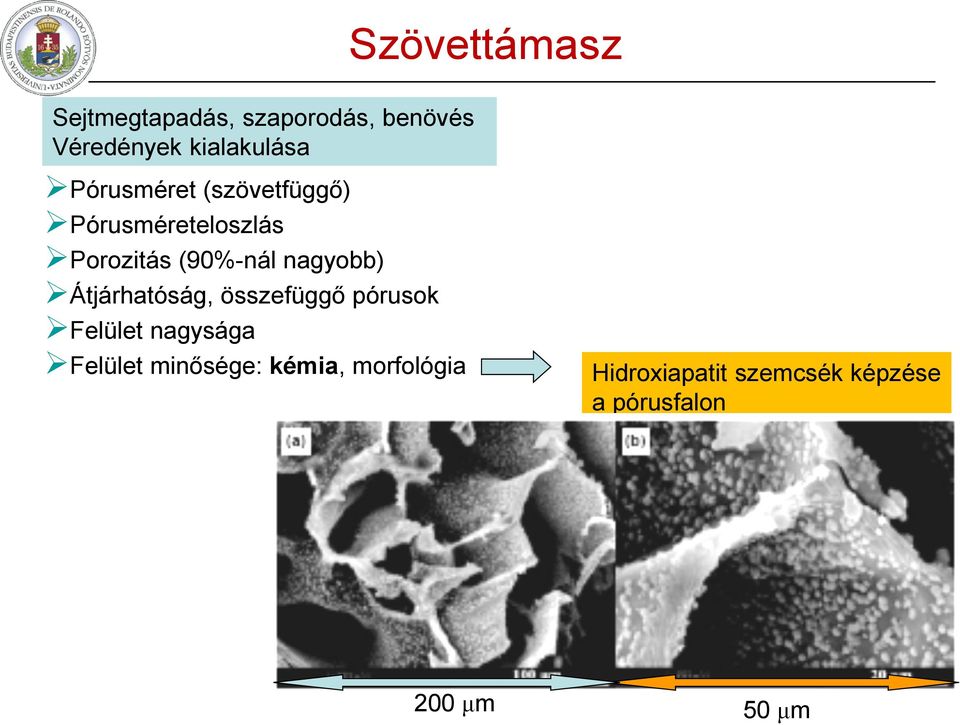 Átjárhatóság, összefüggő pórusok Felület nagysága Felület minősége: