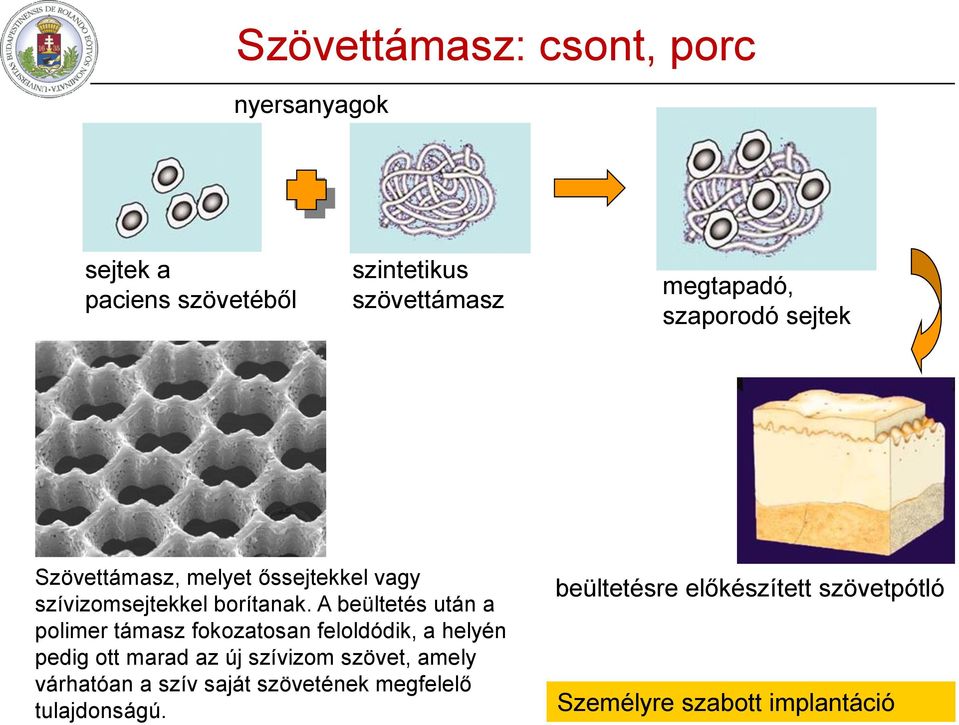 A beültetés után a polimer támasz fokozatosan feloldódik, a helyén pedig ott marad az új szívizom szövet,