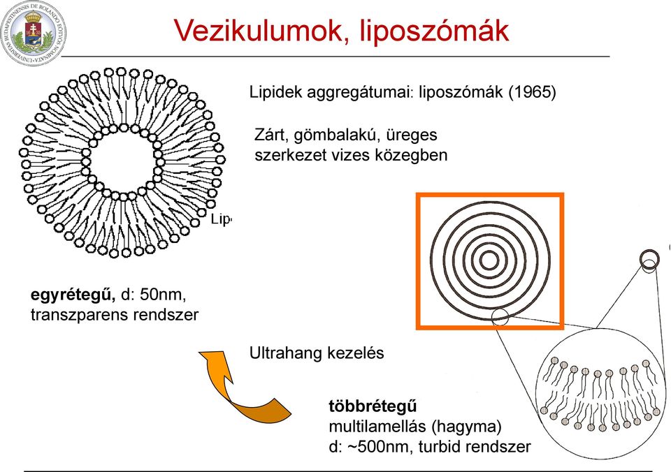 egyrétegű, d: 50nm, transzparens rendszer Ultrahang