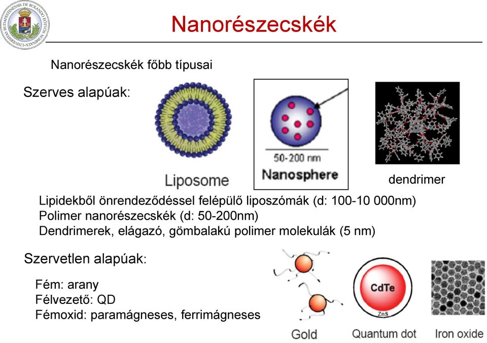 (d: 50-200nm) Dendrimerek, elágazó, gömbalakú polimer molekulák (5 nm)