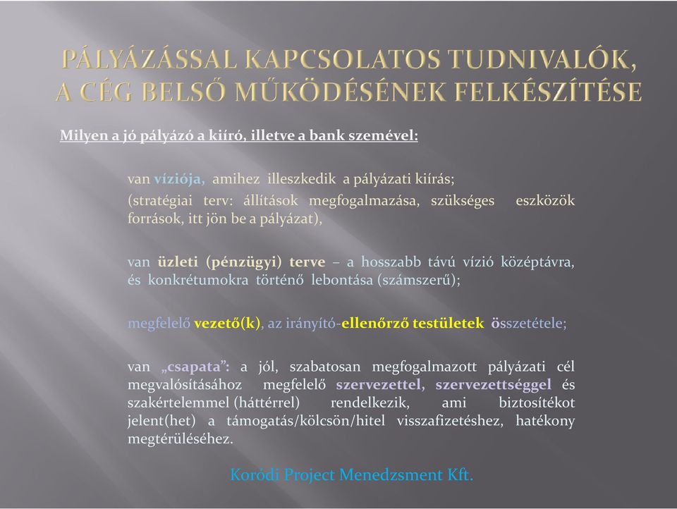 megfelelő vezető(k), az irányító-ellenőrző testületek összetétele; van csapata : a jól, szabatosan megfogalmazott pályázati cél megvalósításához megfelelő