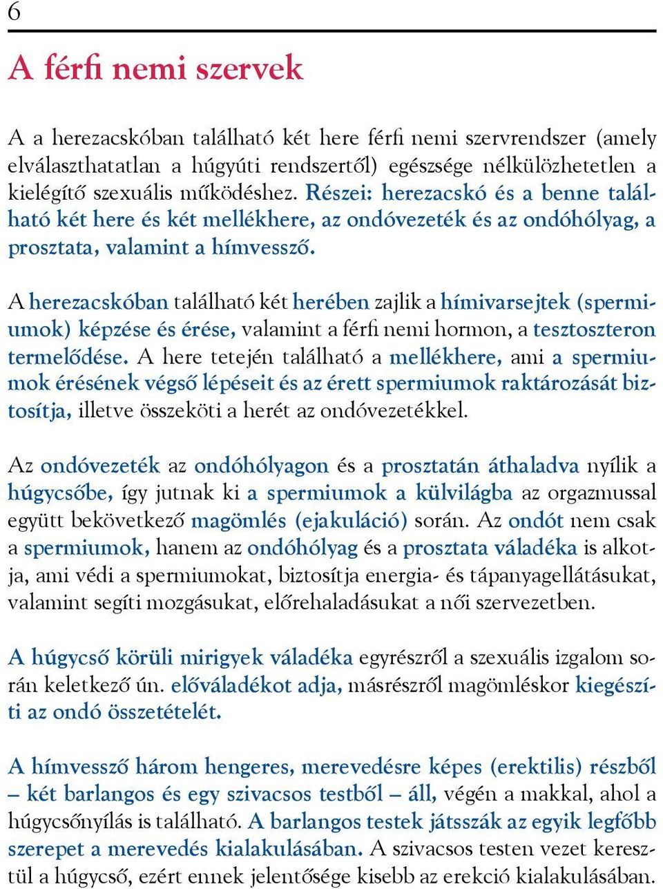 A herezacskóban található két herében zajlik a hímivarsejtek (spermiumok) képzése és érése, valamint a férfi nemi hormon, a tesztoszteron termelõdése.