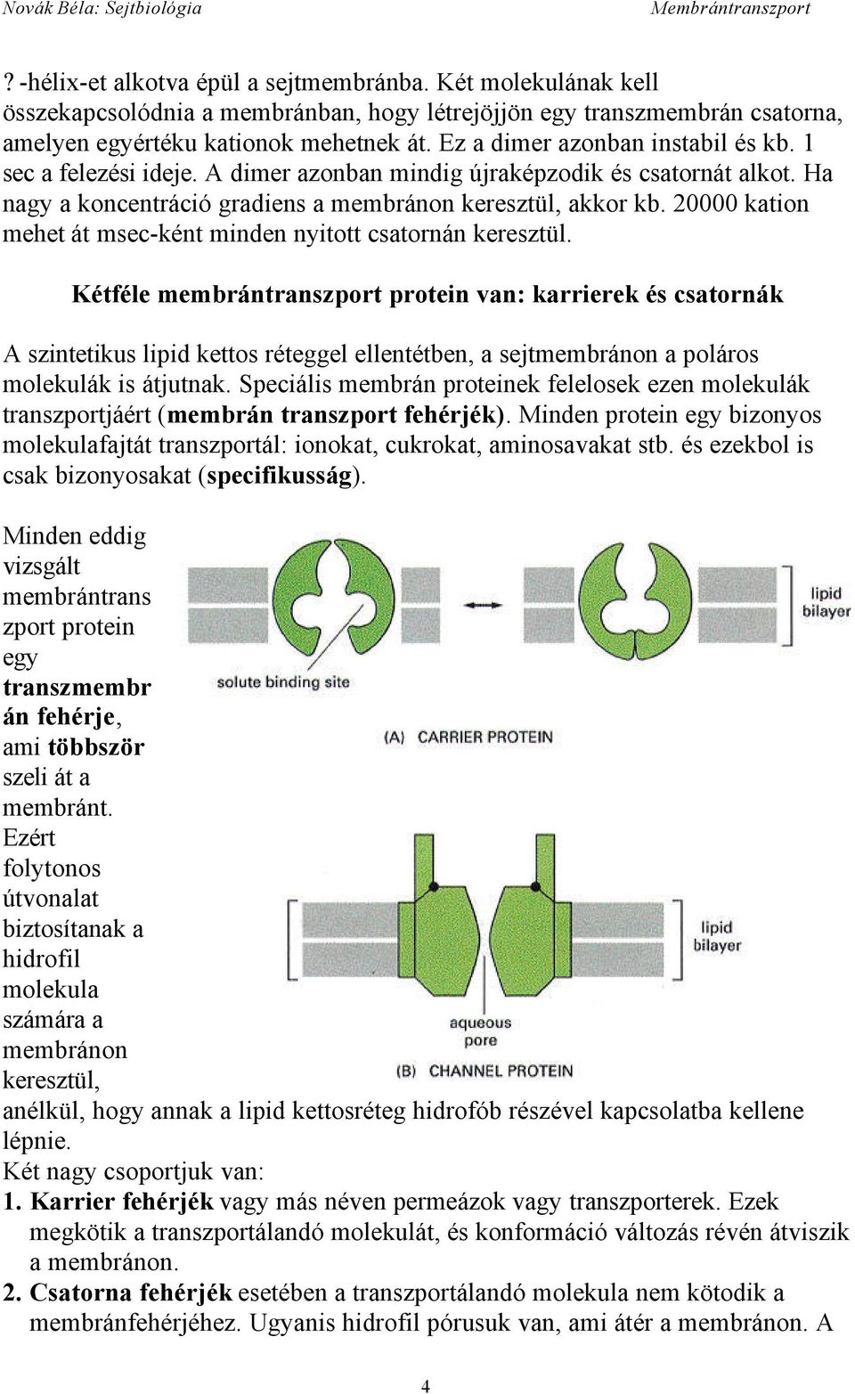 20000 kation mehet át msec-ként minden nyitott csatornán keresztül.