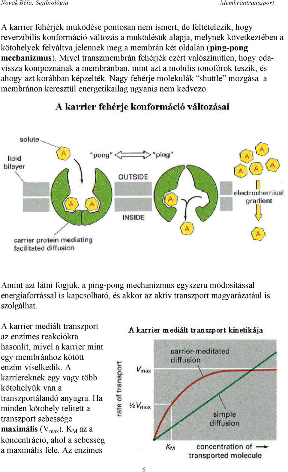 Nagy fehérje molekulák shuttle mozgása a membránon keresztül energetikailag ugyanis nem kedvezo.