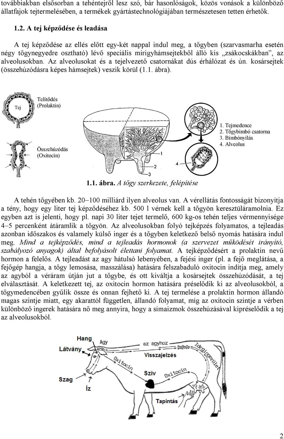 zsákocskákban, az alveolusokban. Az alveolusokat és a tejelvezető csatornákat dús érhálózat és ún. kosársejtek (összehúzódásra képes hámsejtek) veszik körül (1.1. ábra).