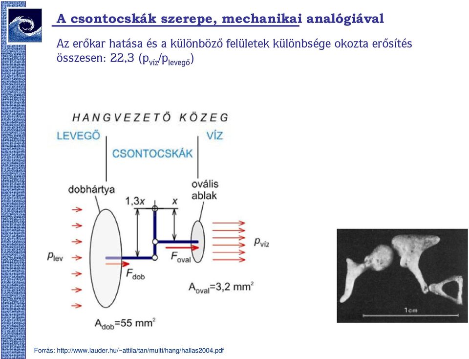 okozta erősítés összesen: 22,3 (p víz /p levegő )