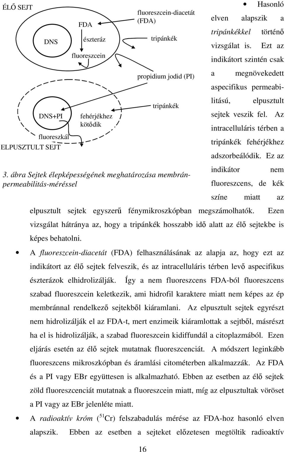 Ez az indikátor nem fluoreszcens, de kék színe miatt az elpusztult sejtek egyszerű fénymikroszkópban megszámolhatók.