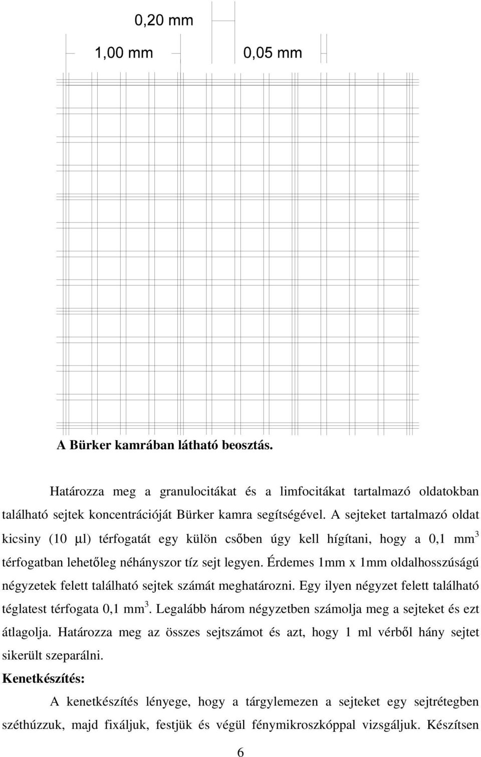 Érdemes 1mm x 1mm oldalhosszúságú négyzetek felett található sejtek számát meghatározni. Egy ilyen négyzet felett található téglatest térfogata 0,1 mm 3.