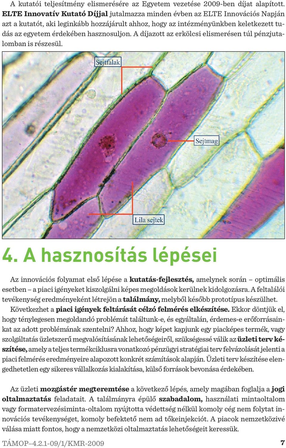 hasznosuljon. A díjazott az erkölcsi elismerésen túl pénzjutalomban is részesül. 4.