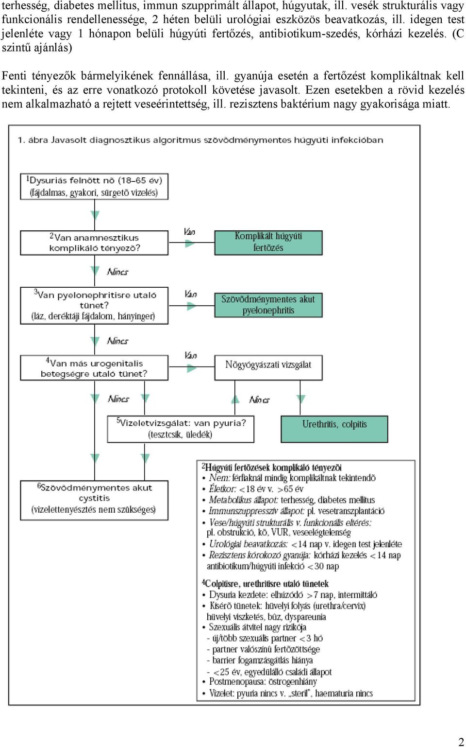 idegen test jelenléte vagy 1 hónapon belüli húgyúti fertőzés, antibiotikum-szedés, kórházi kezelés.