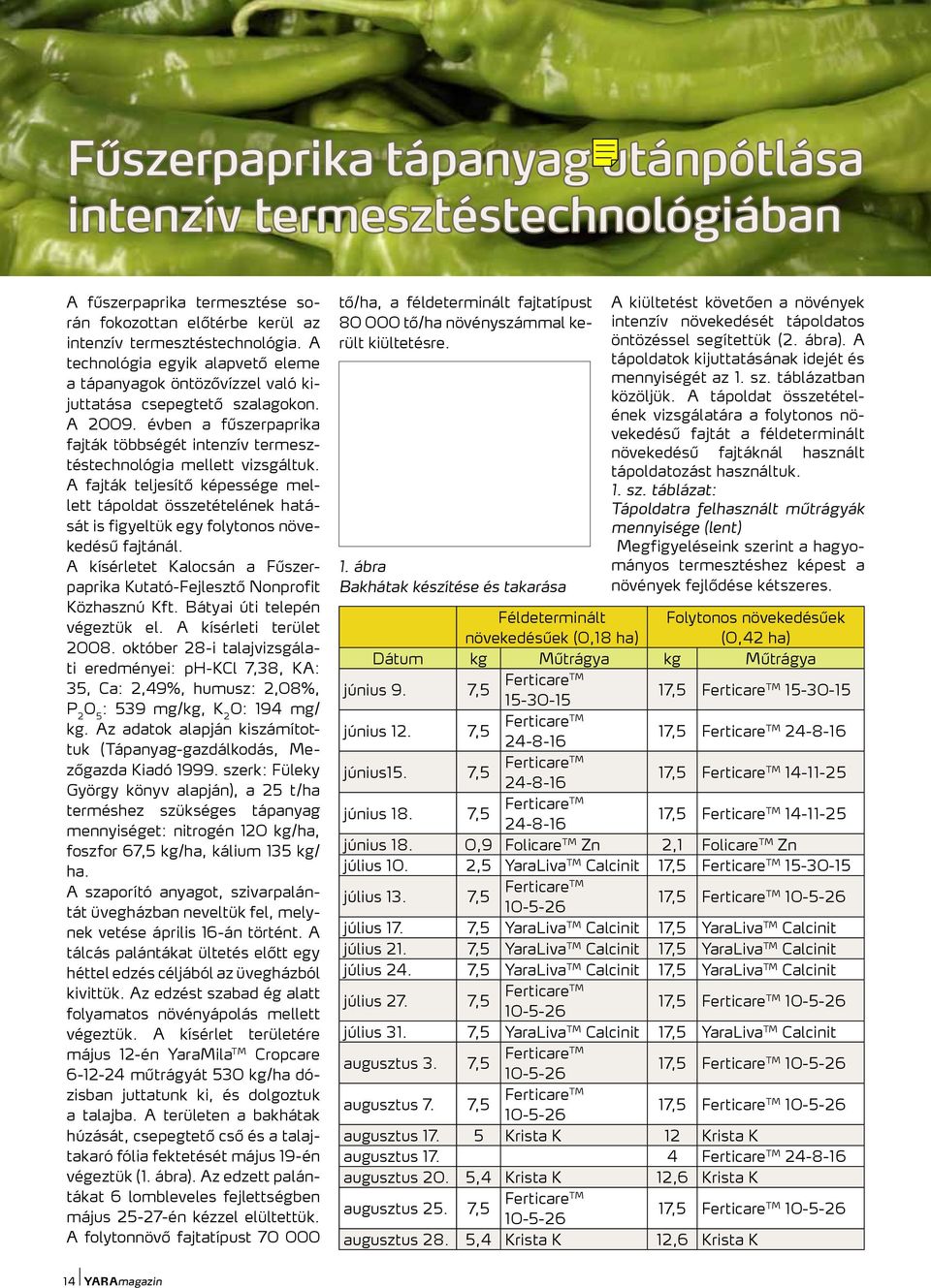 A fajták teljesítő képessége mellett tápoldat összetételének hatását is figyeltük egy folytonos növekedésű fajtánál. A kísérletet Kalocsán a Fűszerpaprika Kutató-Fejlesztő Nonprofit Közhasznú Kft.