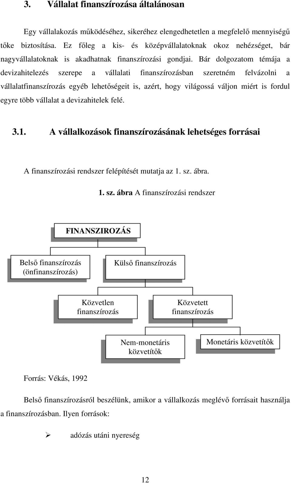 Bár dolgozatom témája a devizahitelezés szerepe a vállalati finanszírozásban szeretném felvázolni a vállalatfinanszírozás egyéb lehetıségeit is, azért, hogy világossá váljon miért is fordul egyre