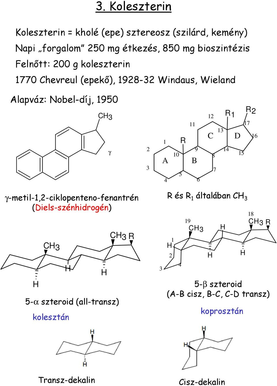 9 B 6 12 C 13 R1 R2 D 8 14 15 7 17 16 γ-metil-1,2-ciklopenteno-fenantrén (Diels-szénhidrogén) 5-α szteroid (all-transz)