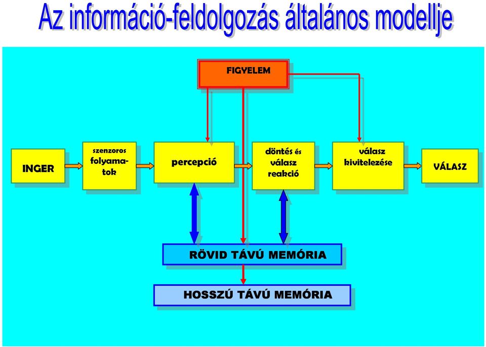 reakció reakció válasz válasz kivitelezése kivitelezése VÁLASZ