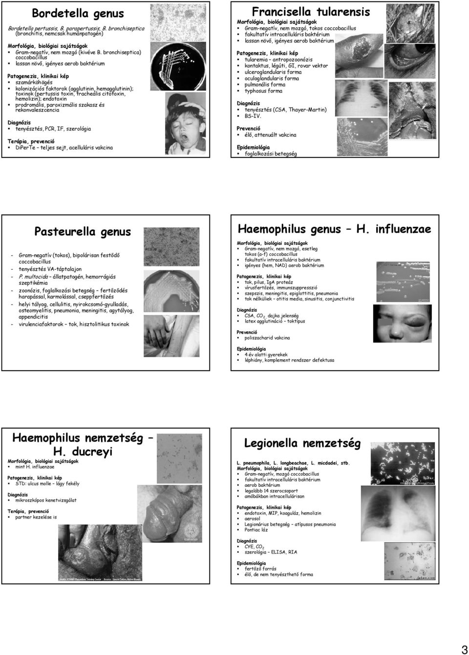 endotoxin prodromális, paroxizmális szakasz és rekonvaleszcencia tenyésztés, PCR, IF, szerológia Terápia, prevenció DiPerTe teljes sejt, acelluláris vakcina Francisella tularensis Gram-negatív, nem