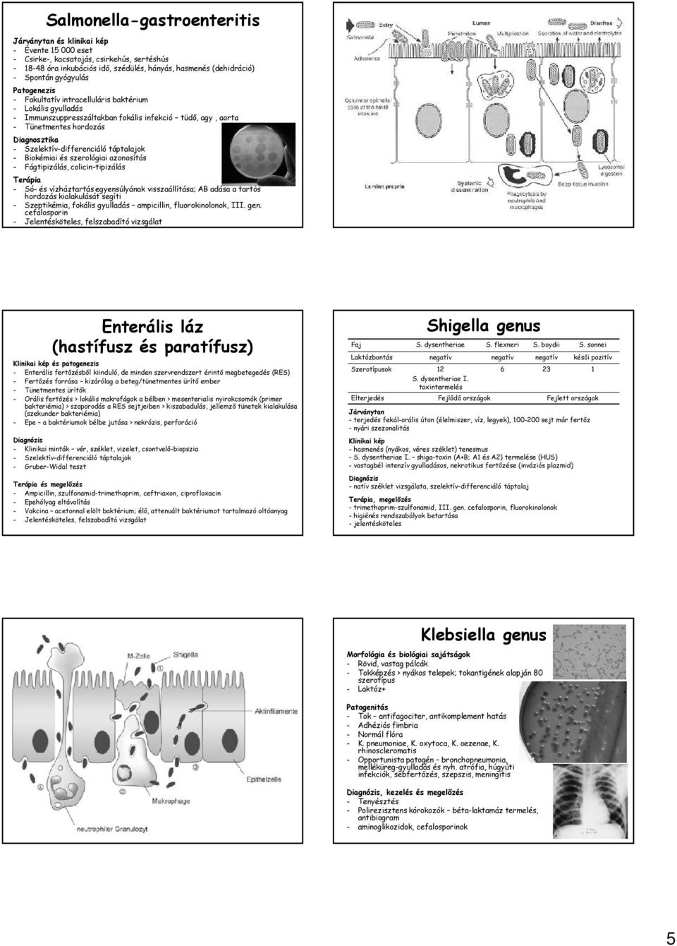 Szelektív-differenciáló táptalajok - Biokémiai és szerológiai azonosítás - Fágtipizálás, colicin-tipizálás Terápia - Só- és vízháztartás egyensúlyának visszaállítása; AB adása a tartós hordozás