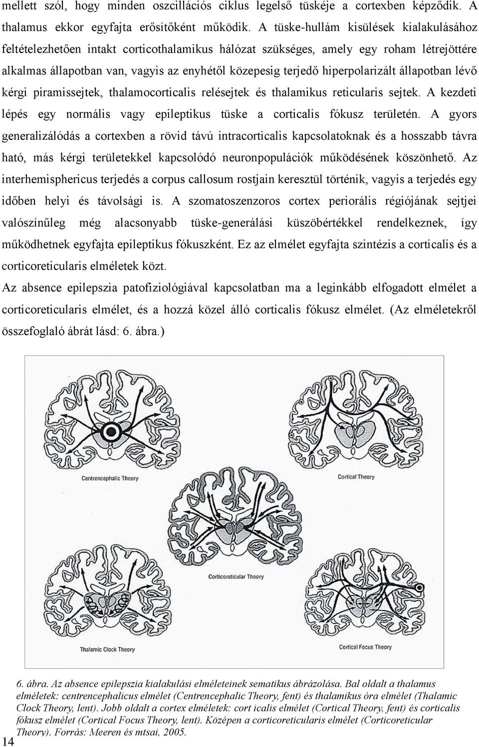 hiperpolarizált állapotban lévő kérgi piramissejtek, thalamocorticalis relésejtek és thalamikus reticularis sejtek. A kezdeti lépés egy normális vagy epileptikus tüske a corticalis fókusz területén.