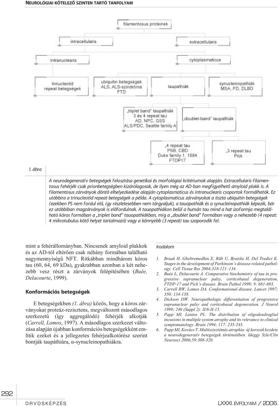 A filamentosus zárványok döntõ elhelyezkedése alapján cytoplasmaticus és intranuclearis csoportok formálhatók. Ez utóbbira a trinucleotid repeat betegségek a példa.