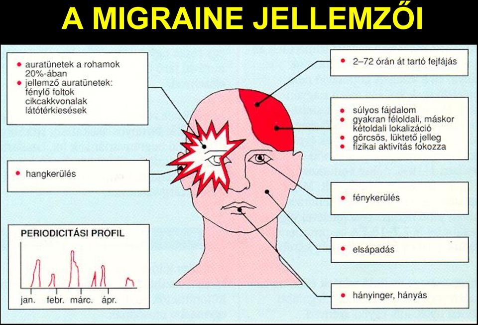 JELLEMZŐI