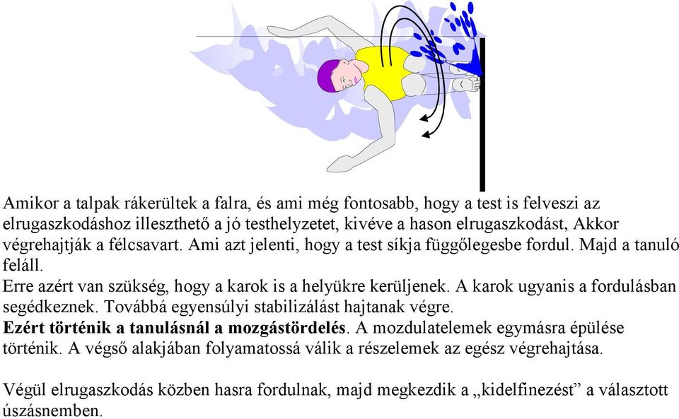 A karok ugyanis a fordulásban segédkeznek. Továbbá egyensúlyi stabilizálást hajtanak végre. Ezért történik a tanulásnál a mozgástördelés.