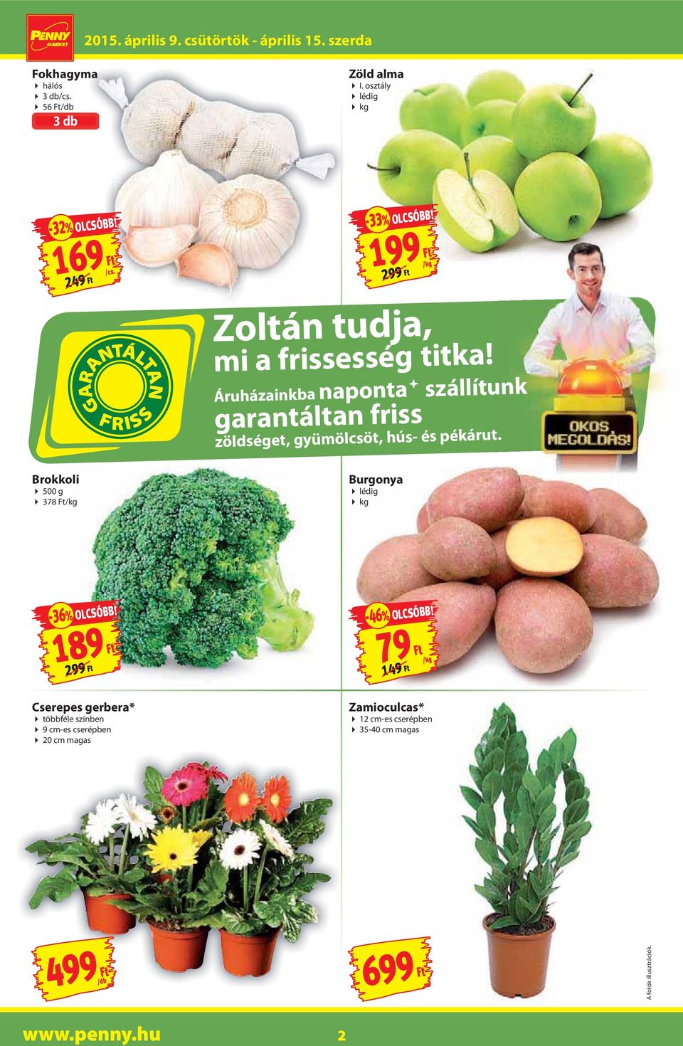 Áruházainkba naponta szállítunk garantáltan friss zöldséget, gyümölcsöt, hús- és pékárut.