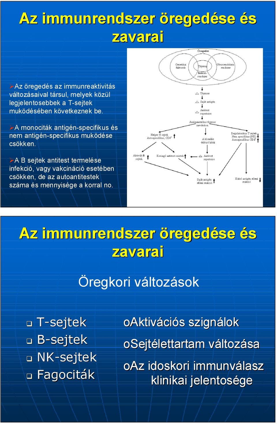 A B sejtek antitest termele infekció, vagy vakcináció esetében csökken, de az autoantitestek száma mennyisége a korral no.