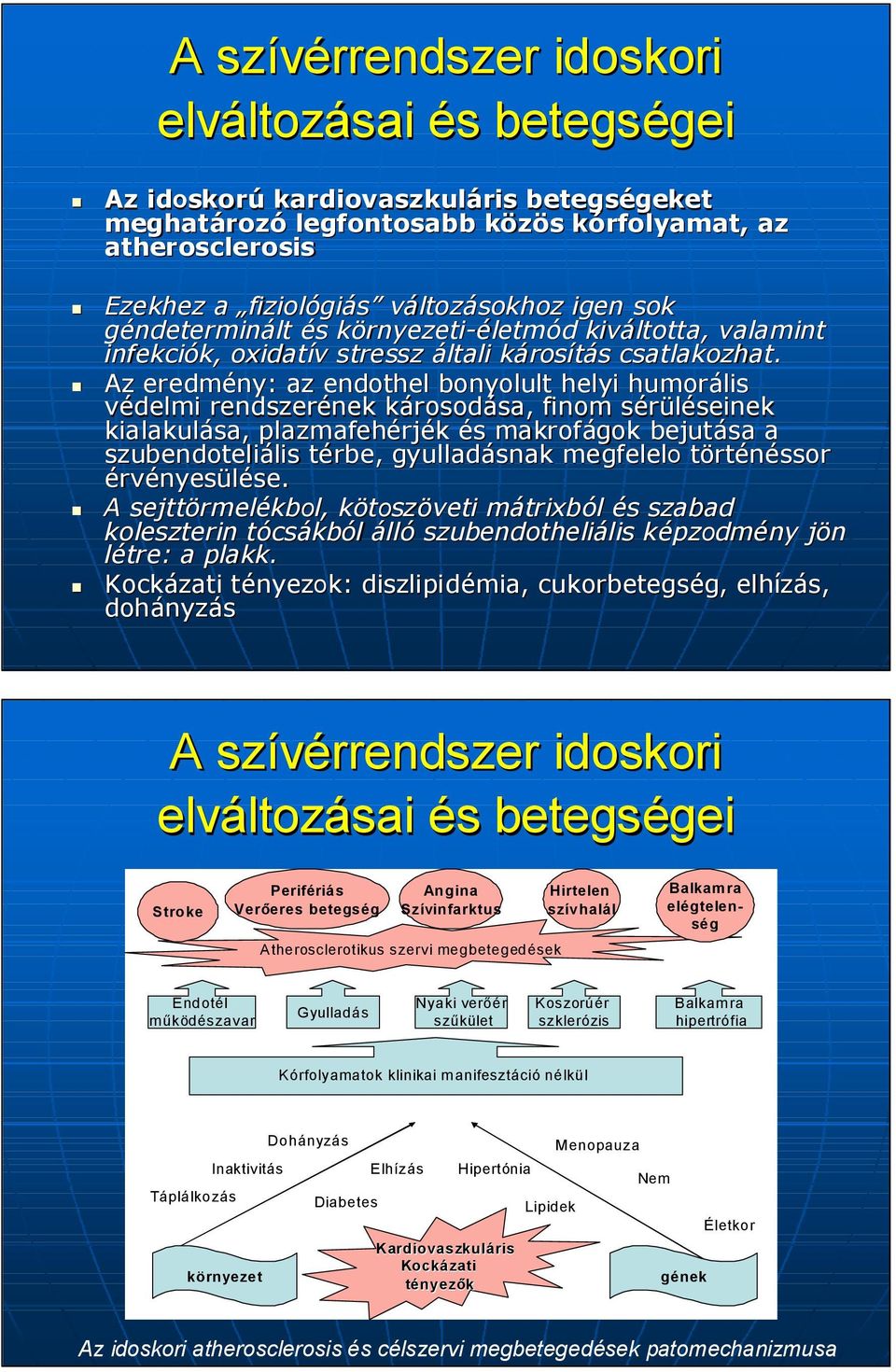 Az eredmény: az endothel bonyolult helyi humorális védelmi rendszerének nek károsodk rosodása, sa, finom sérüleinek s seinek kialakulása, plazmafehérj rjék s makrofágok bejutása a szubendoteliális