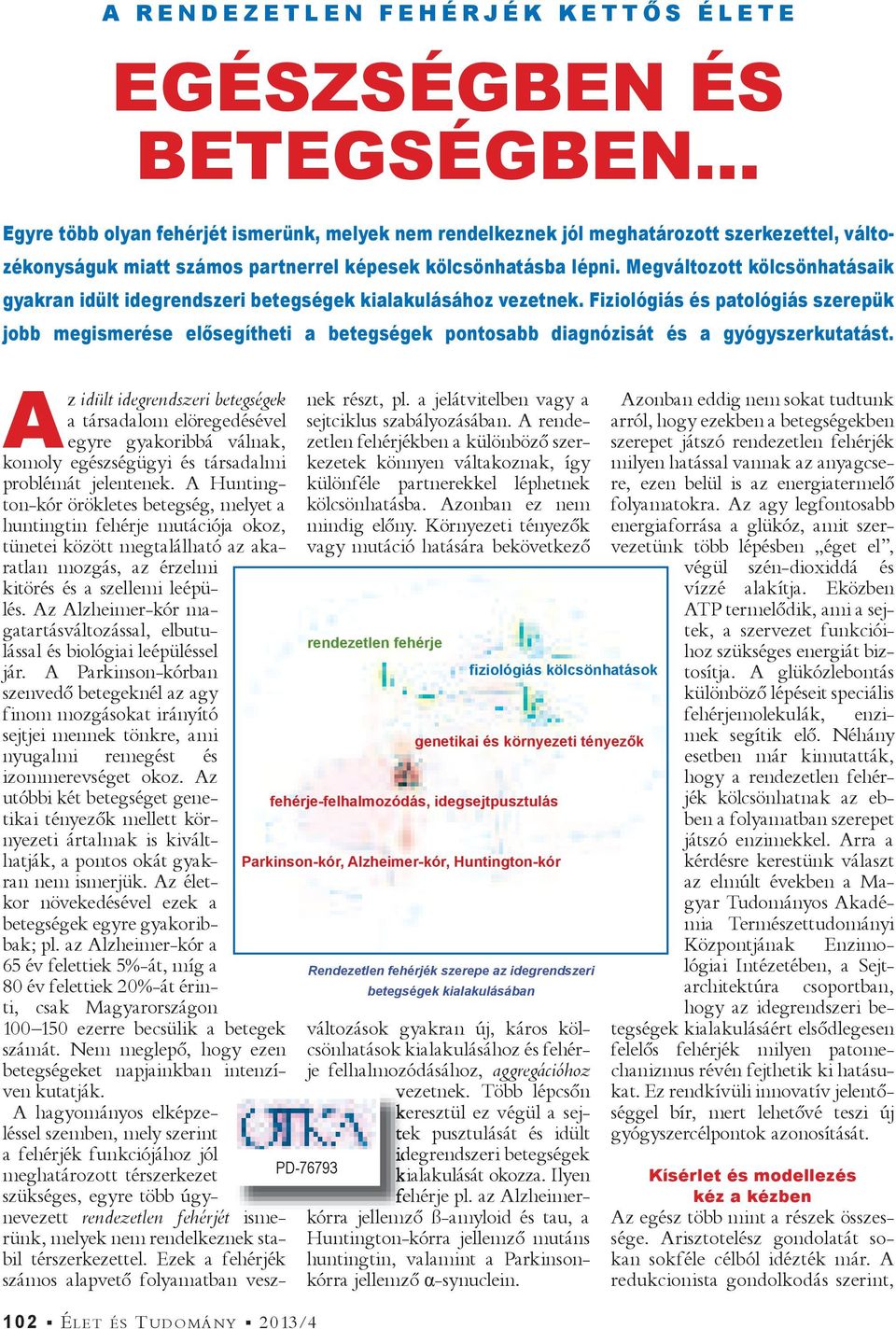 Fiziológiás és patológiás szerepük jobb megismerése el segítheti a betegségek pontosabb diagnózisát és a gyógyszerkutatást.