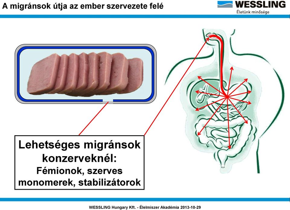 migránsok konzerveknél: