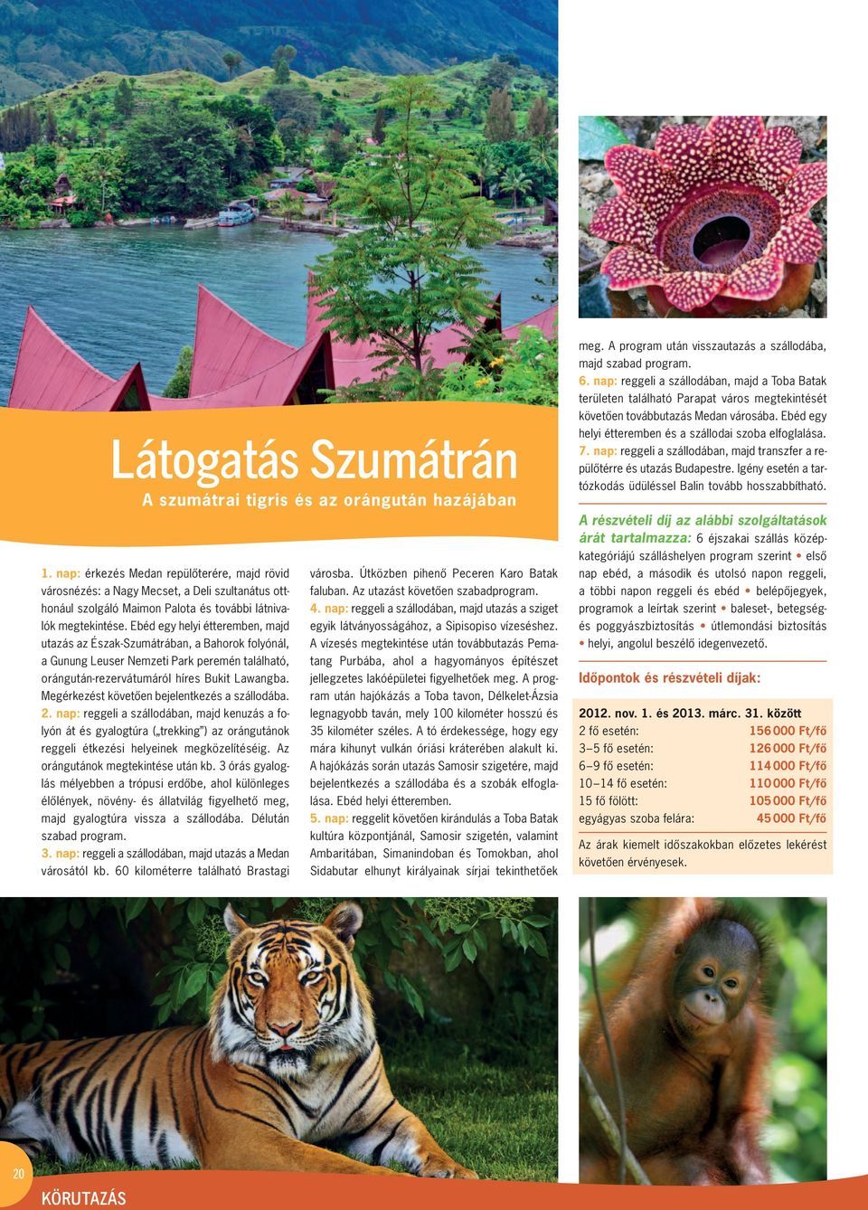 Ebéd egy helyi étteremben, majd utazás az Észak-Szumátrában, a Bahorok folyónál, a Gunung Leuser Nemzeti Park peremén található, orángután-rezervátumáról híres Bukit Lawang ba.