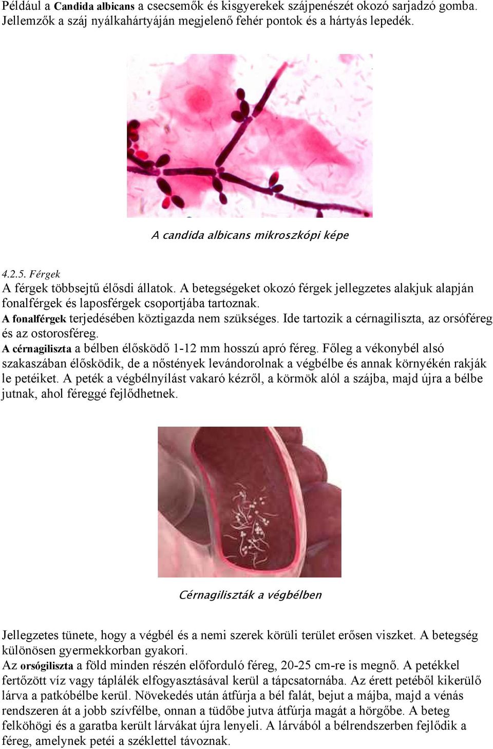 A fonalférgek terjedésében köztigazda nem szükséges. Ide tartozik a cérnagiliszta, az orsóféreg és az ostorosféreg. A cérnagiliszta a bélben élősködő 1-12 mm hosszú apró féreg.