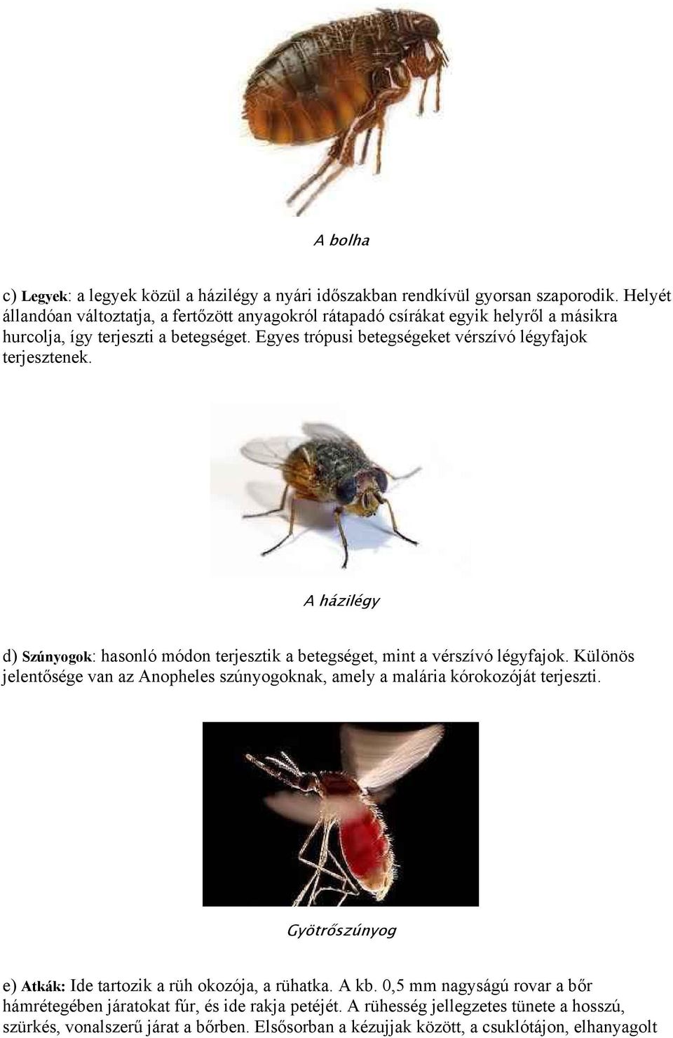 Egyes trópusi betegségeket vérszívó légyfajok terjesztenek. A házilégy d) Szúnyogok: hasonló módon terjesztik a betegséget, mint a vérszívó légyfajok.