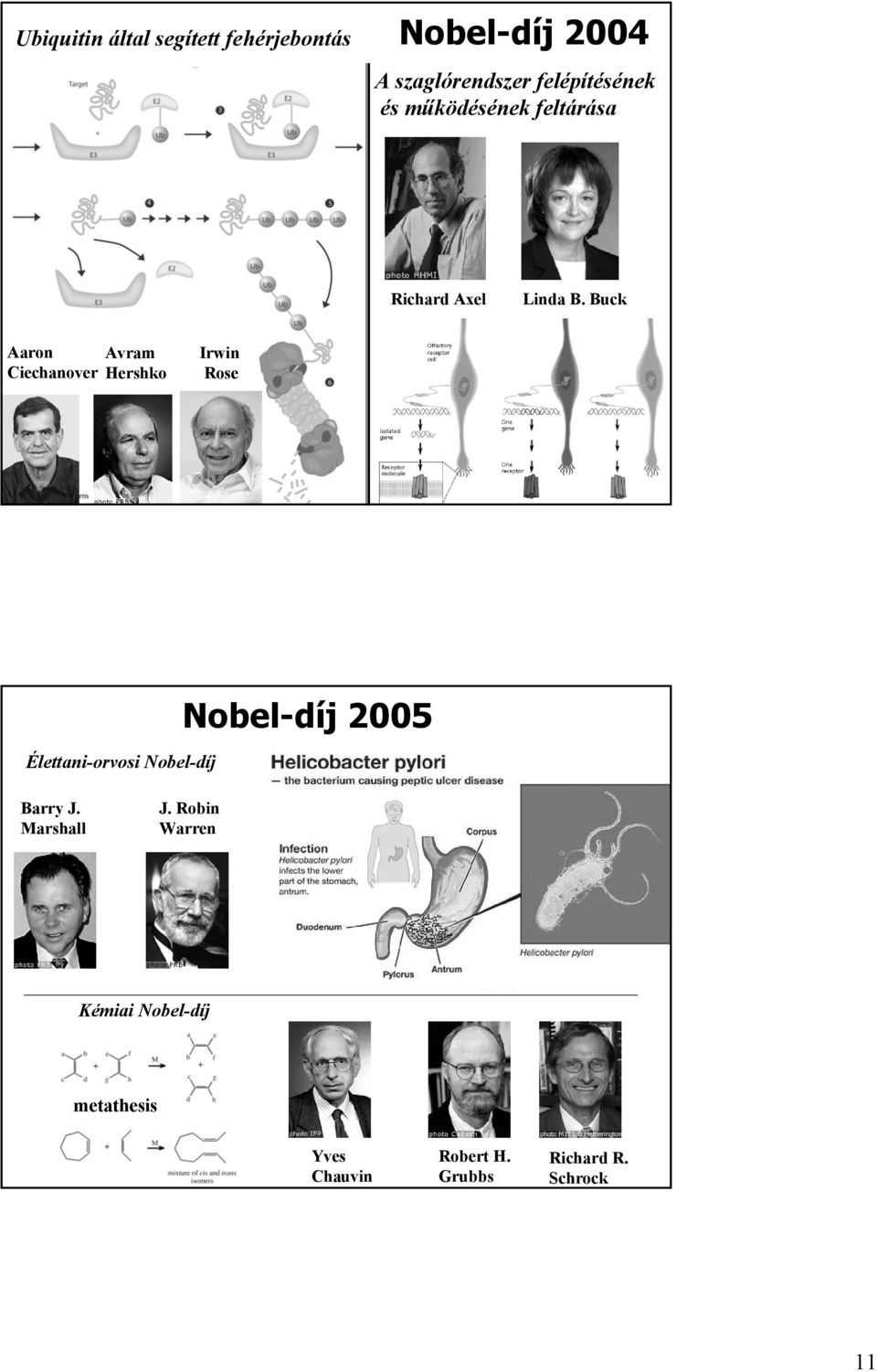 Buck Aaron Avram Ciechanover Hershko Irwin Rose Élettani-orvosi Nobel-díj Nobel-díj