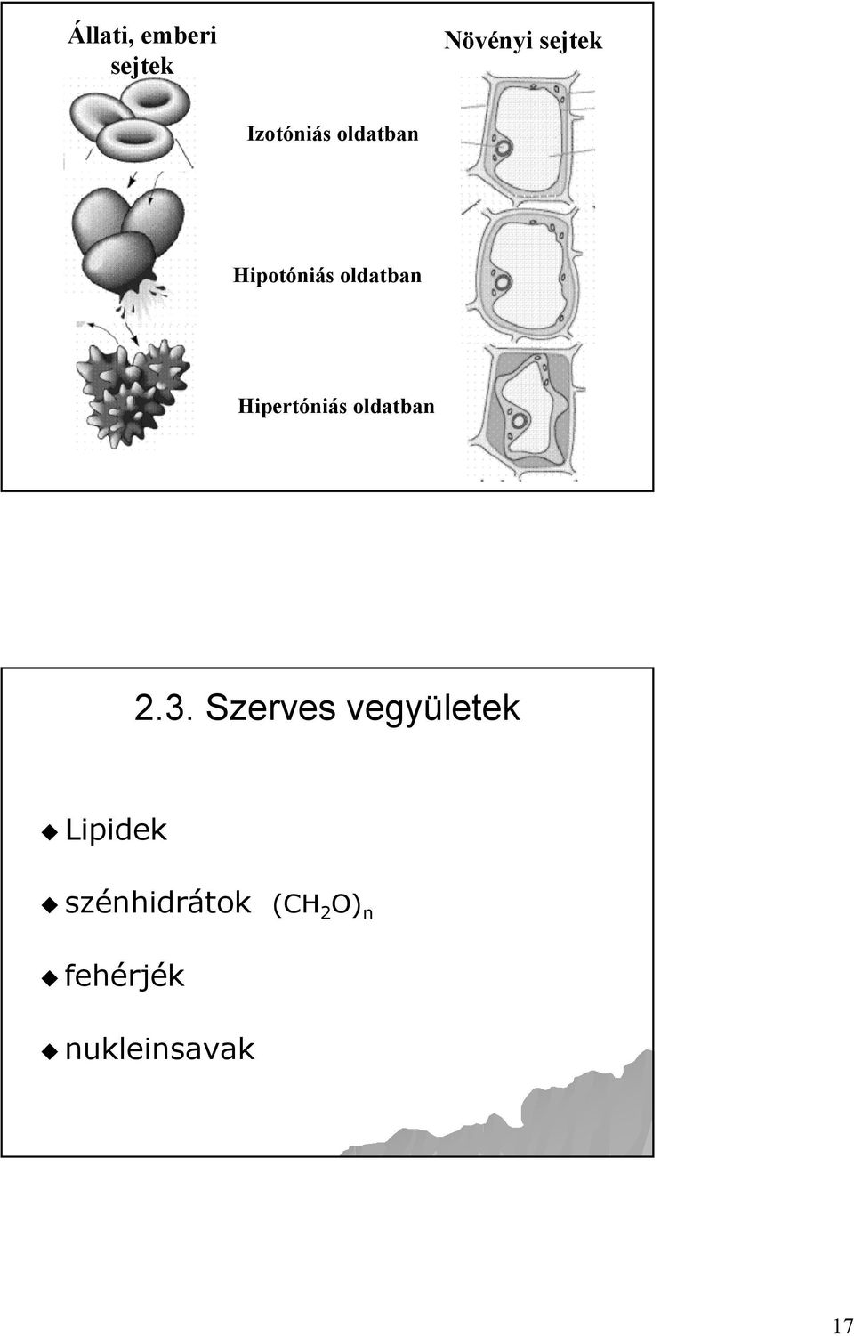 Hipertóniás oldatban 2.3.