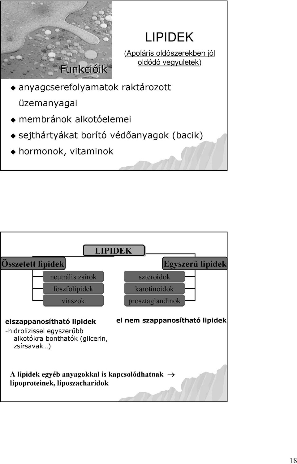 zsírok szteroidok foszfolipidek karotinoidok viaszok prosztaglandinok elszappanosítható lipidek -hidrolízissel egyszerűbb