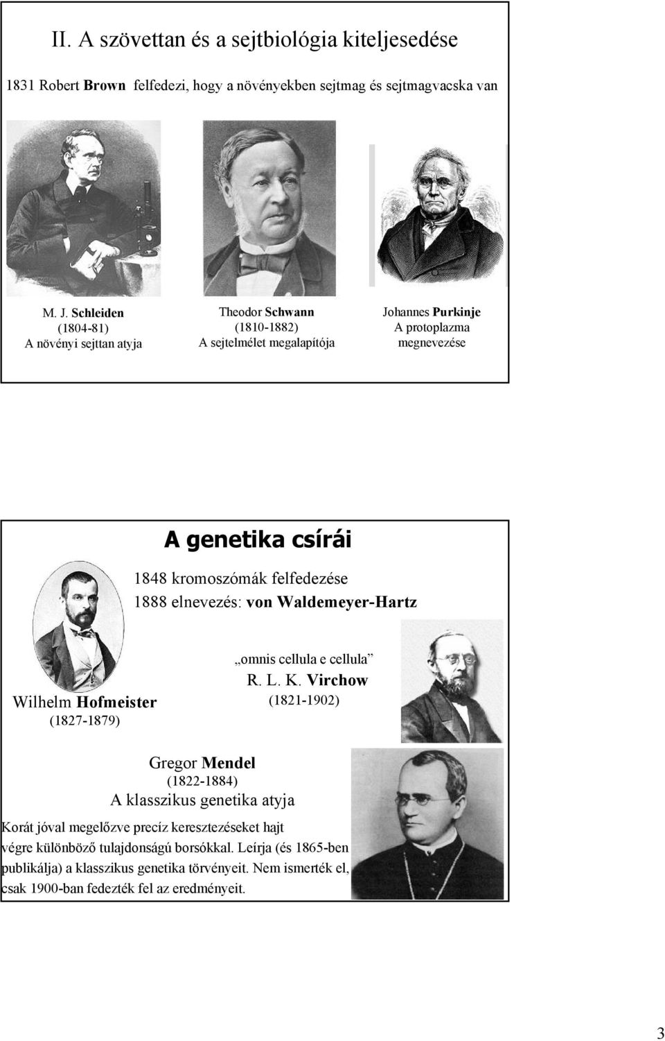 felfedezése 1888 elnevezés: von Waldemeyer-Hartz Wilhelm Hofmeister (1827-1879) omnis cellula e cellula R. L. K.