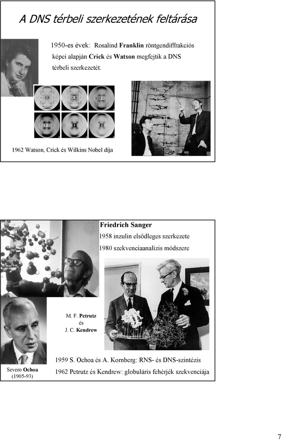 1962 Watson, Crick és Wilkins Nobel díja Friedrich Sanger 1958 inzulin elsődleges szerkezete 1980